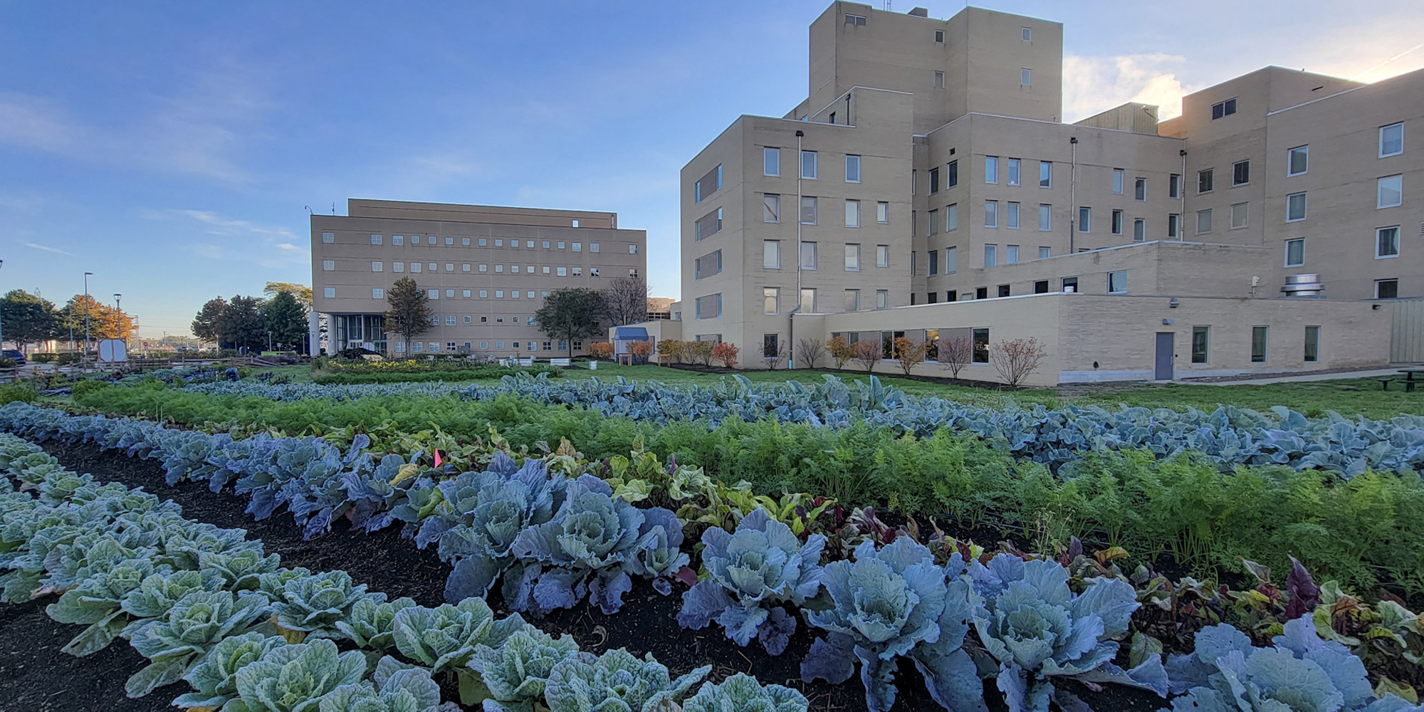 The Farm at Trinity Health - Oakland