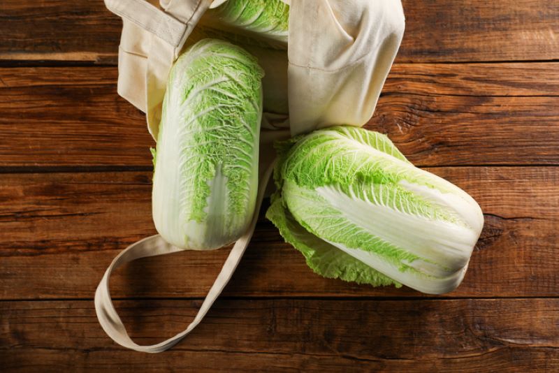 Fresh Napa Cabbage Heads